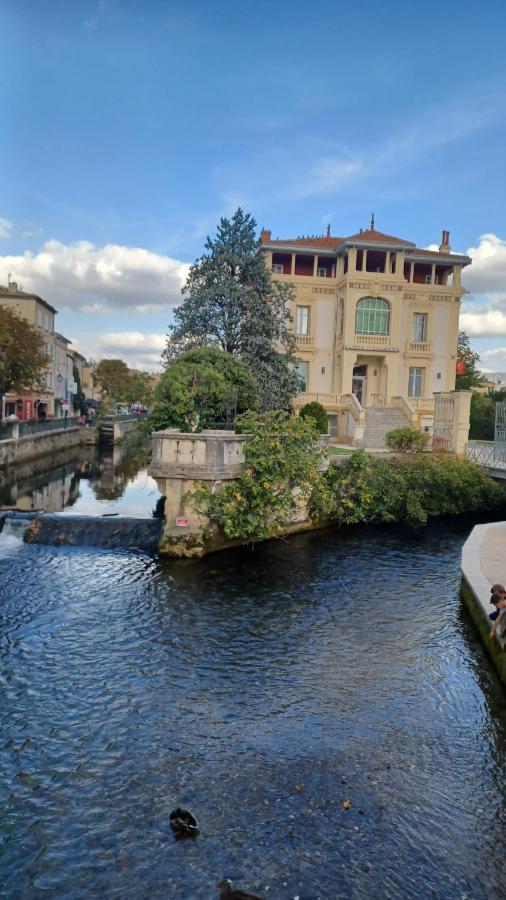 L'Isle Sur La Sorgue, Appartement 2 Pieces Jardin Parking Bagian luar foto